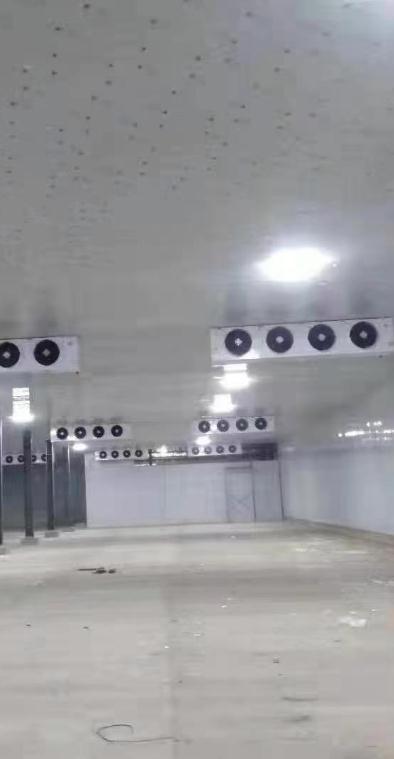 技术团队